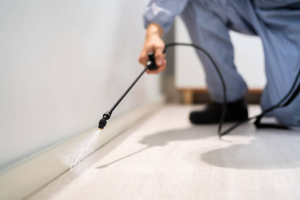 Licensed Cockroach Control service in Hanahan, SC - Nex Pest Control