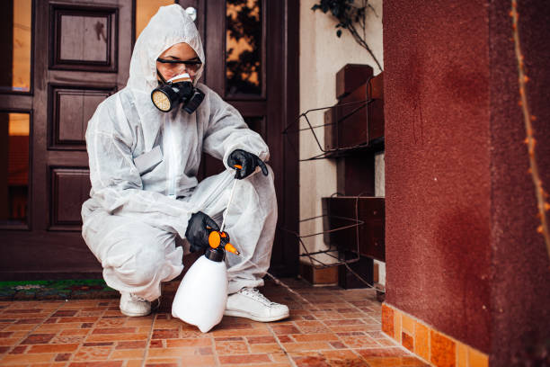 Reliable Cockroach Control contractor in Hanahan, SC by Nex Pest Control